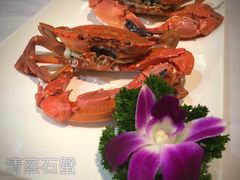 -小厨师·二十年沈家门小海鲜(百井坊巷店)