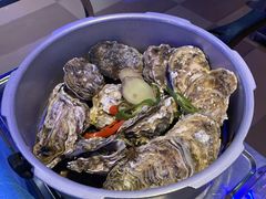 高压锅蒸蚝-千岛蚝高压锅生蚝·人参火锅(白云万达店)