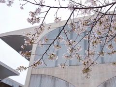 -龙美术馆(西岸馆)