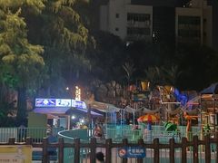 -武汉市青少年宫水上世界