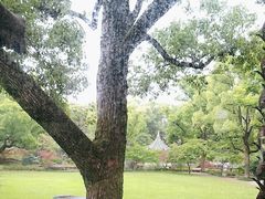 -申粤轩酒楼·三十年粤菜经典(丁香花园店)