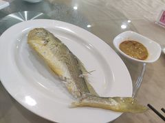 金龙鱼饭-庄氏祥记家常食府(国瑞建材家居博览中心店)