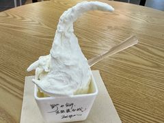 -野人先生Gelato(上海长宁龙之梦店)