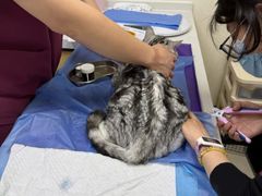 -美联众合动物医院·24h京西诊疗中心