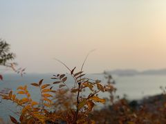 -青岛海滨风景区小鱼山