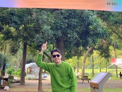 -南宁良凤江国家森林公园