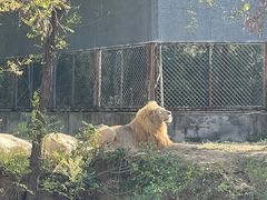 -石家庄市动物园