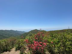 -大围山国家森林公园