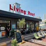 别问了就在南京！超出片的天台咖啡！