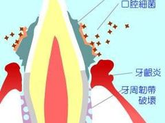 -团圆口腔·种植中心(锦江院区)