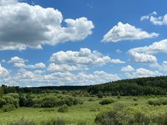 -塞罕坝国家级自然保护区