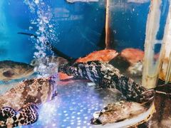 -盒马鲜生(悠方店)