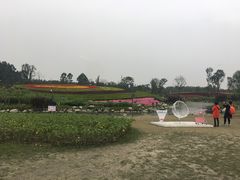 -天府芙蓉园