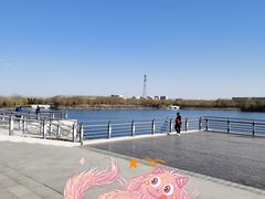 -大兴滨河森林公园