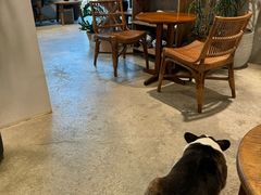-自由生长植物工作室(深港花卉中心店)