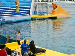 -秦皇岛乐岛海洋王国