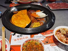 -生活如沸·顺德水牛奶火锅(大学路店)