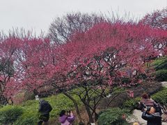 -重庆彩云湖湿地公园