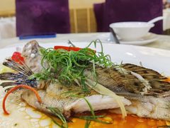 -有腥气私房菜·寻味顺德