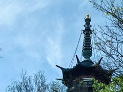 -上海佘山国家森林公园西佘山园