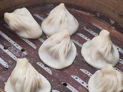 -老桐椿 · 上海大馄饨