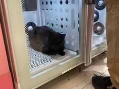 -FAELING PETS美天灵宠物(合生汇店)