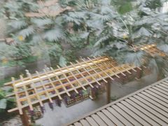 -陆地游轮吉林神农温泉