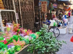 -清平路水族市场