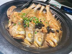 -海市焗·现焗海鲜·老广风味(上海首店)