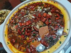 -草根堂农场