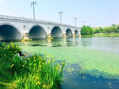 -尚贤河湿地