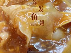 -添發碗仔翅美食