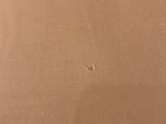 -上海新发展亚太JW万豪酒店