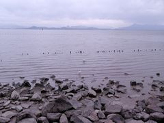-深圳湾公园(南山区)