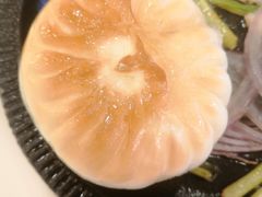 -新南华大酒店(长寿店)
