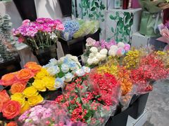 -大自然花鸟鱼虫市场