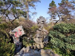 -杭州植物园