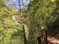 -黑河国家森林公园