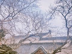 -白云观