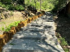 -白水寺森林公园