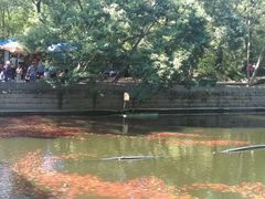-普陀山风景名胜区-法雨禅寺