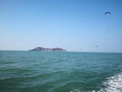-海驴岛(荣成市)