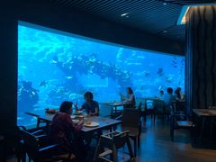 -海棠湾洲际-涛·海底餐厅·美人鱼·自助餐·海底隧道