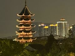 -苏州盘门景区人民桥南地铁站亚朵X酒店