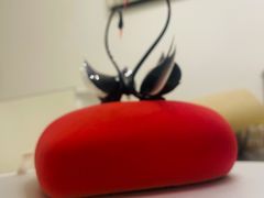 挚爱15cm-BLACKSWAN黑天鹅(环球店)