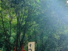 -青城山