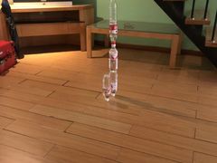 -中加枫华国际学校