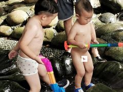 -成都市活水公园