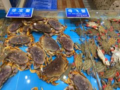 -双井轩(双井店)