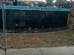-瑞德姆美人鱼海底演艺主题餐厅(亚龙湾店)